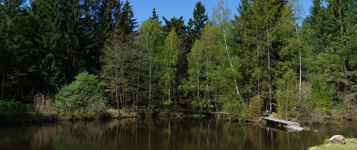 wald_16_9DRA04776